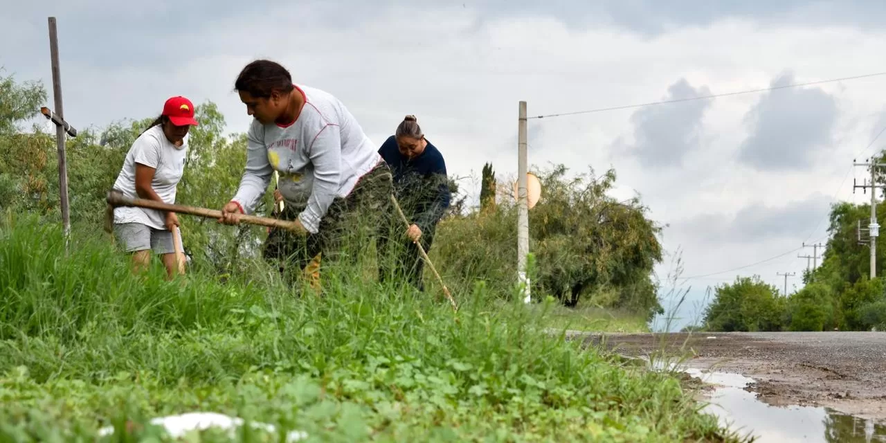 CON EL PROGRAMA DE EMPLEO TEMPORAL, MUJERES DEL CAMPO ACCEDEN A MÁS OPORTUNIDADES Y MEJORES INGRESOS