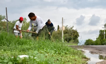 CON EL PROGRAMA DE EMPLEO TEMPORAL, MUJERES DEL CAMPO ACCEDEN A MÁS OPORTUNIDADES Y MEJORES INGRESOS