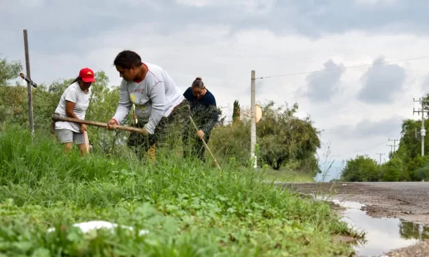 CON EL PROGRAMA DE EMPLEO TEMPORAL, MUJERES DEL CAMPO ACCEDEN A MÁS OPORTUNIDADES Y MEJORES INGRESOS
